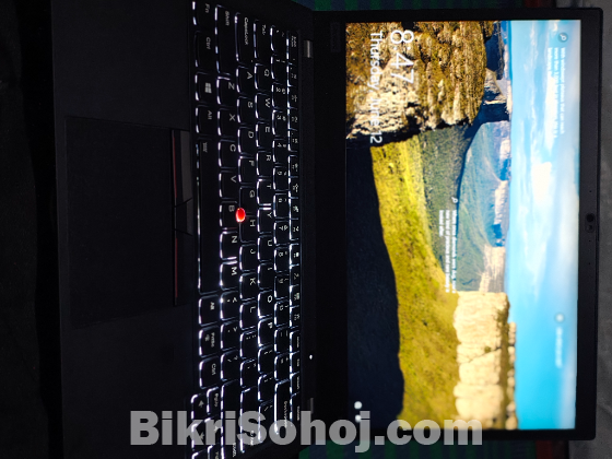 Lenovo ThinkPad T490
